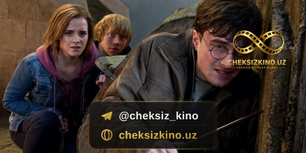 Garri Potter 8 — kadr 3