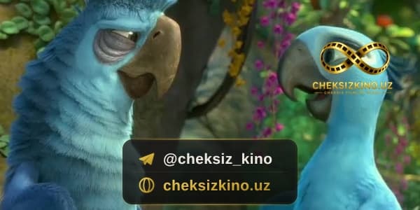Rio 2 — kadr 3